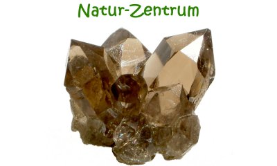 Natur-Zentrum